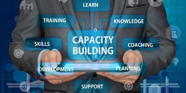 capacity-building-1024x682